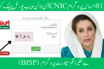 8171 Ehsaas Program Check CNIC Online Web Portal Guide