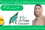 How to Register for CM Punjab Honhaar Scholarship 2025 : Your Complete Guide
