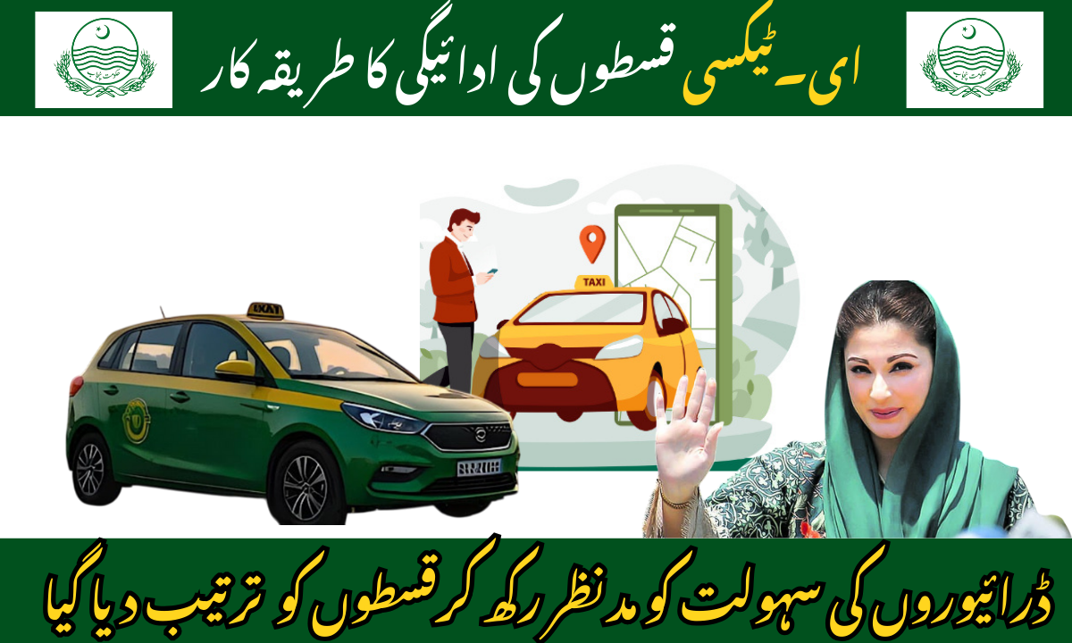 Punjab E-Taxi Program 2025: Payment Structure Finalized