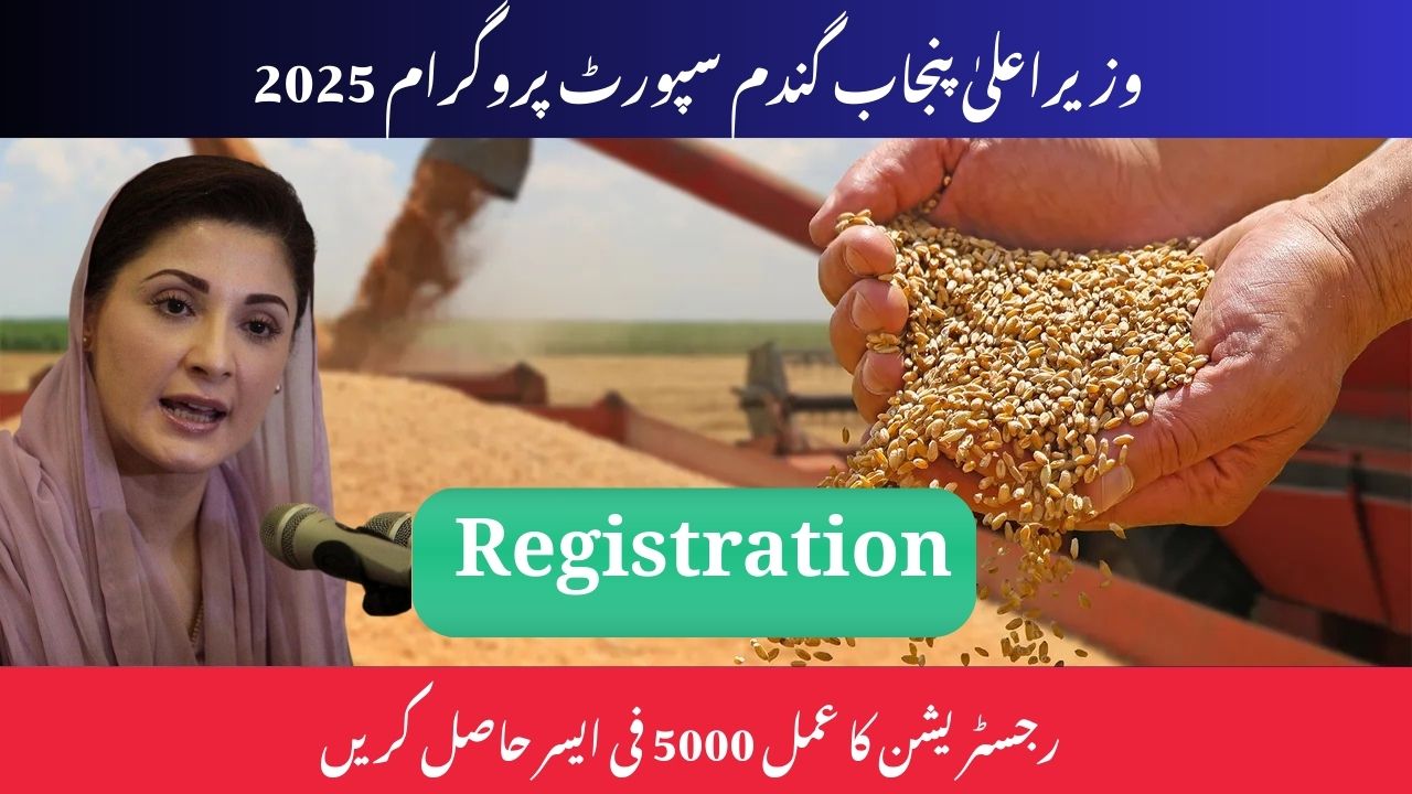 CM Punjab Wheat Support Program 2025 Registration Process Get 5000 Per Acer