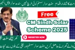 Sindh Solar Panel Scheme 2025 - How to Apply Online