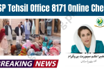 BISP Tehsil Office 8171 Online Check