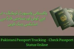 Pakistani Passport Tracking