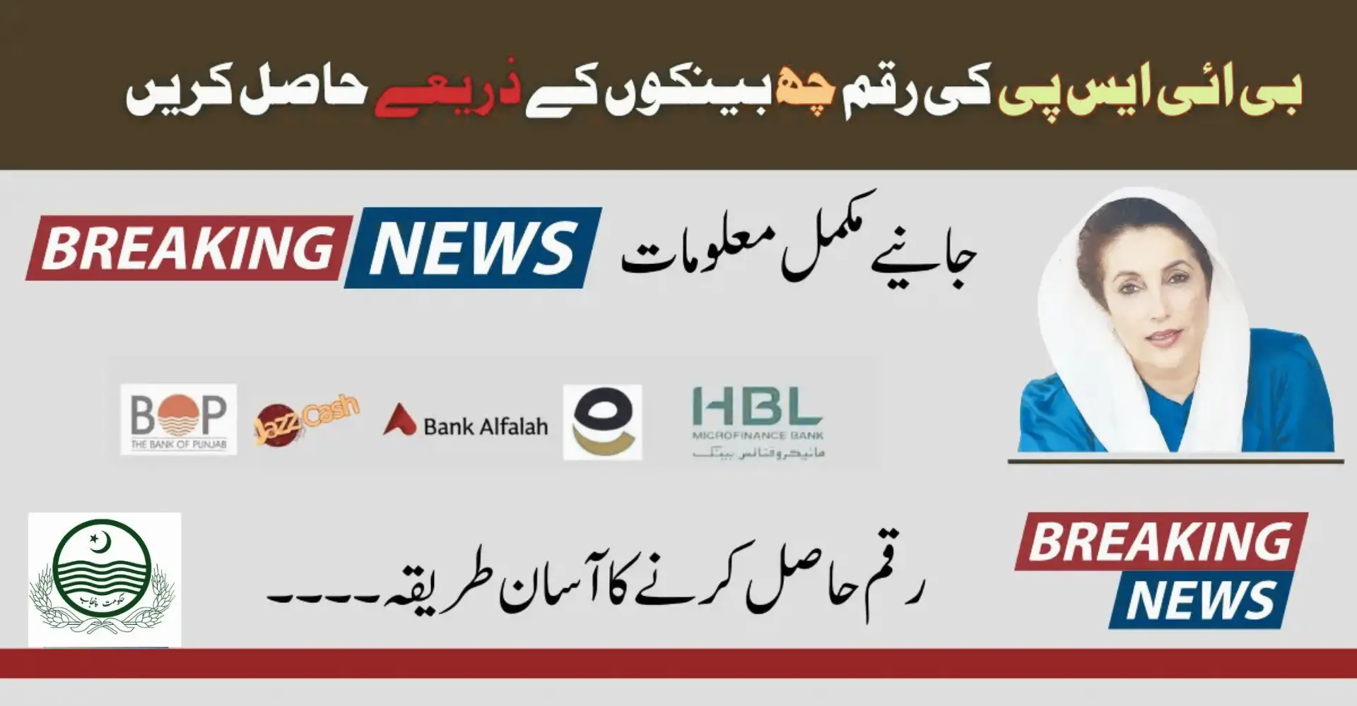 BISP Payment through 6 Banks