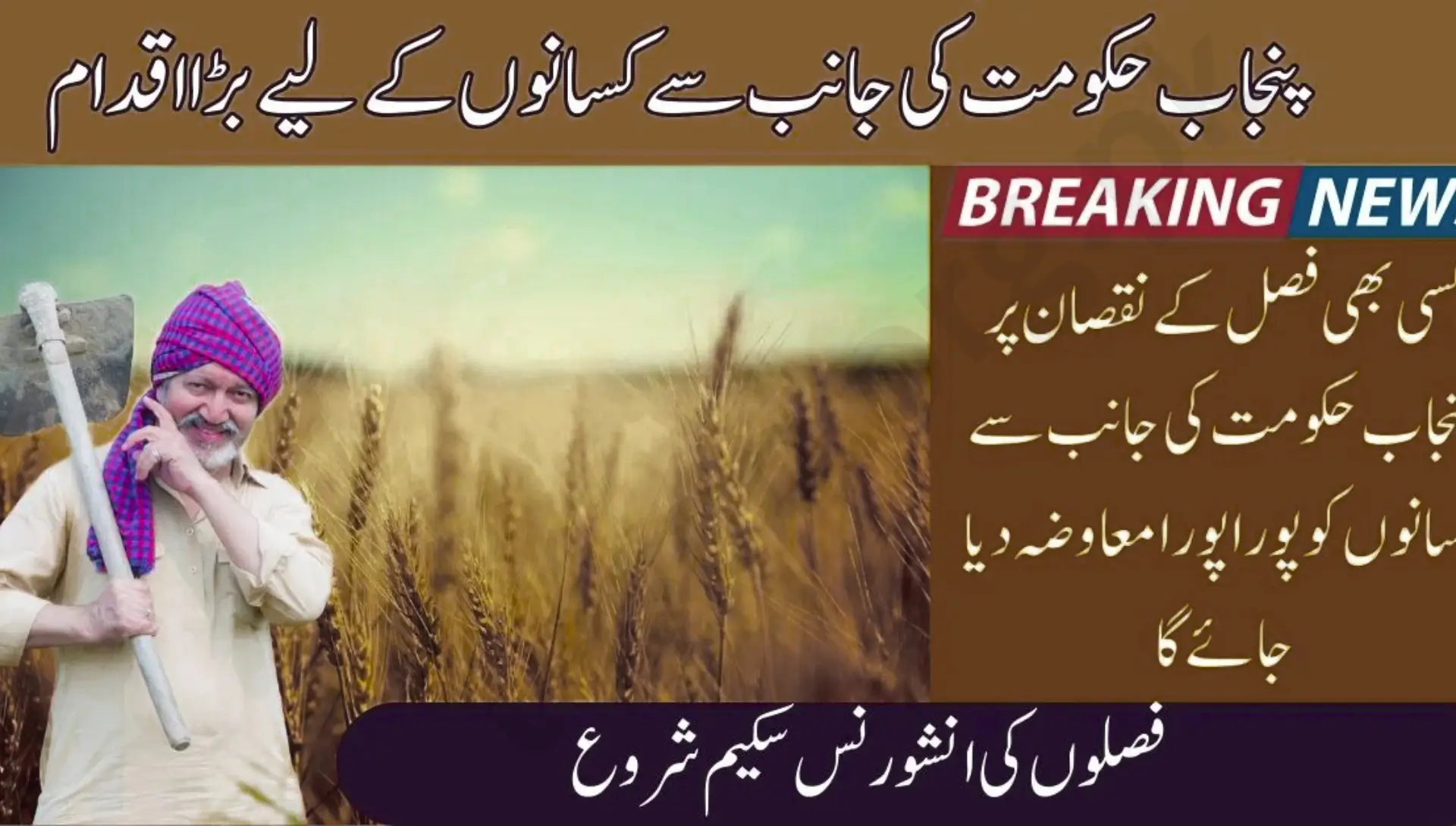 Punjab Crop Insurance Scheme