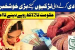 Punjab Government Offers Rs 2 Lakh Marriage Gift to Newlywed Couples