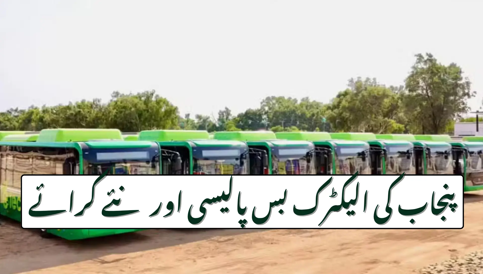 Punjab Announces Decision on Increasing Electric Bus Ticket