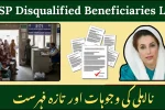 BISP Disqualified Beneficiaries List 2025 – Updated Status Check Guide