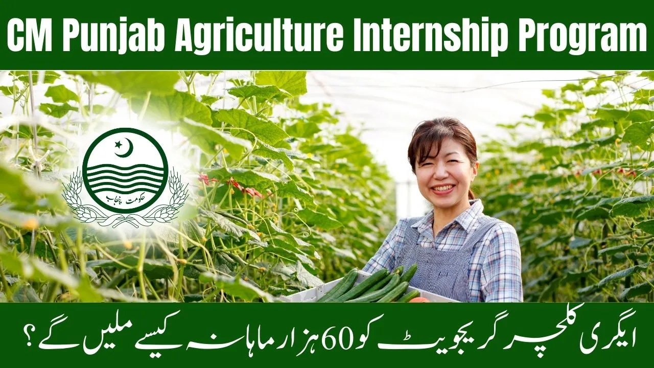CM Punjab Naujawan Agriculture Internship Program