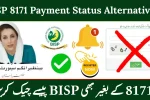BISP 8171 Payment Status Alternatives