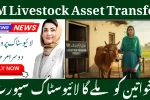 CM Livestock Asset Transfer to Rural Women Scheme