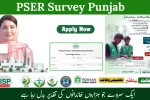 PSER Survey Punjab