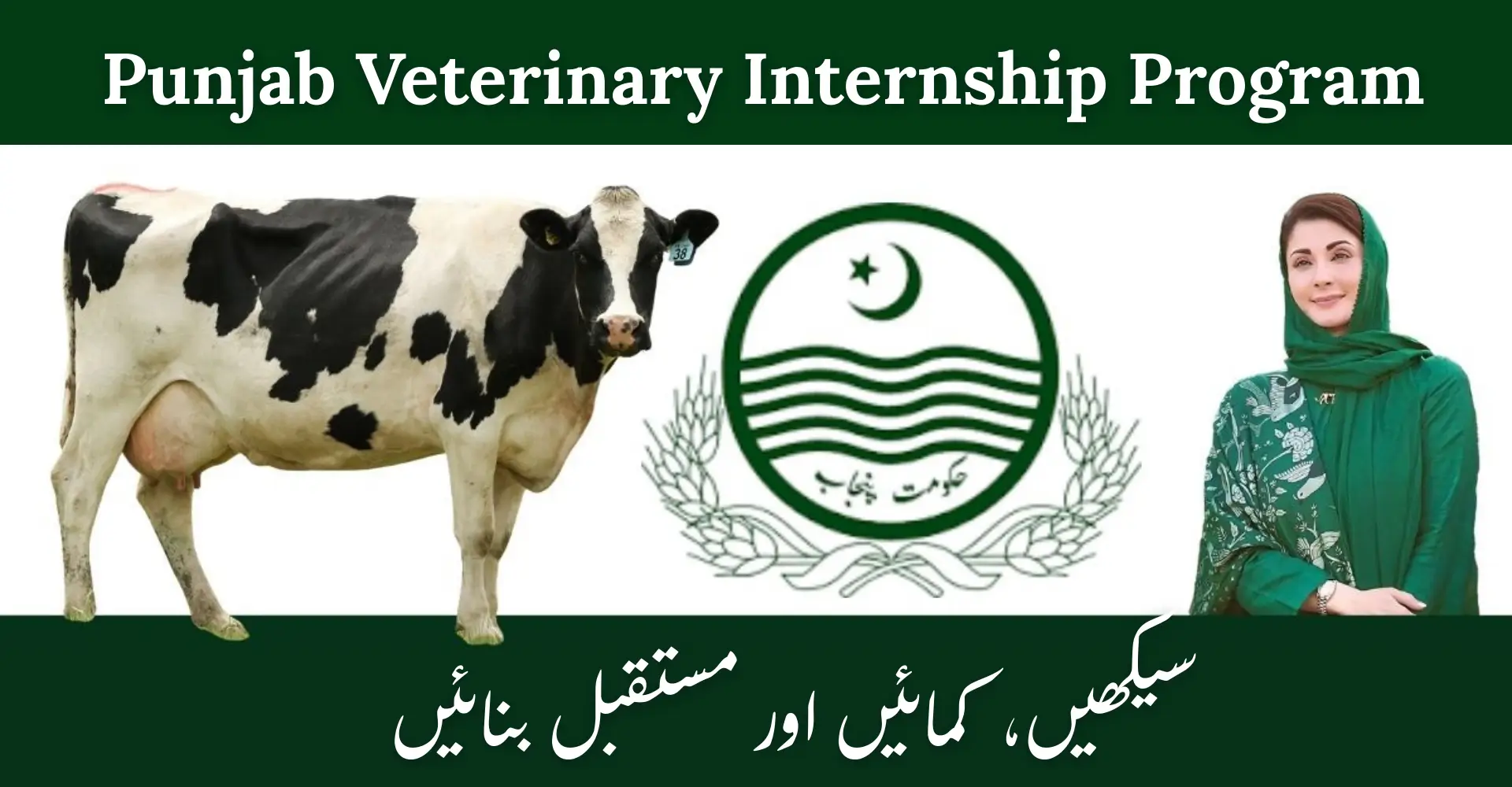 Punjab Veterinary Internship Program 2026 – Rs. 60,000 Monthly Stipend